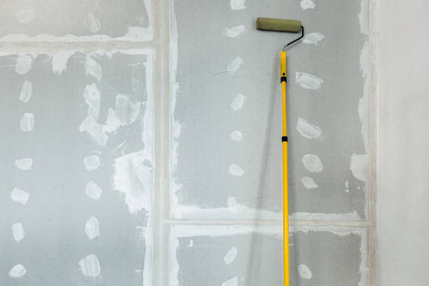 Best Drywall Sanding and Smoothing  in Fort Dodge, IA