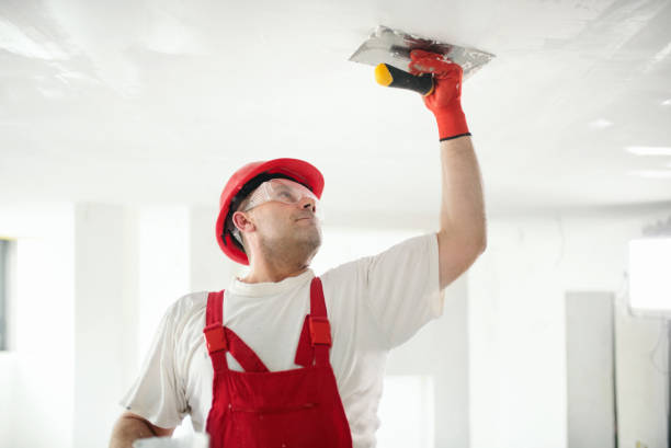 Best Trim and Molding Painting  in Fort Dodge, IA