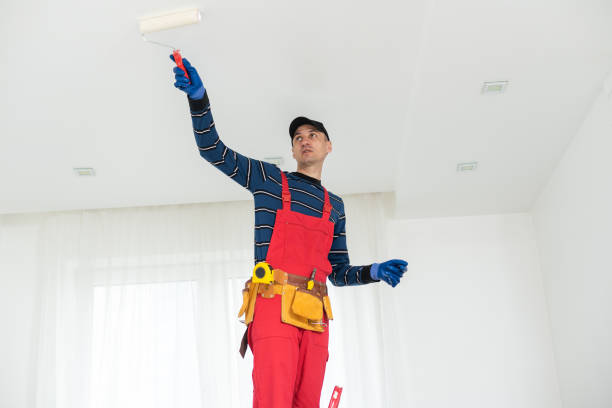 Best Drywall Removal and Disposal  in Fort Dodge, IA